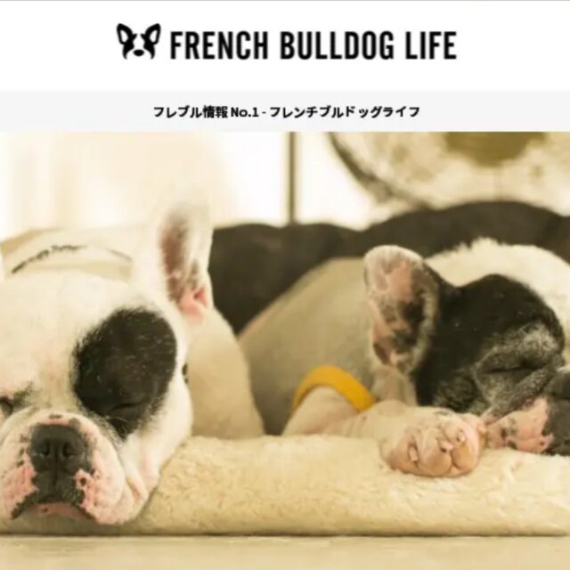 建材フリマサイト「atATTA」